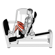 Lever seated squat calf raise on leg press machine animation