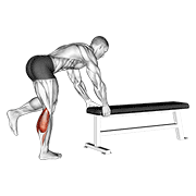 One leg donkey calf raise animation