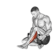 Peroneals stretch animation