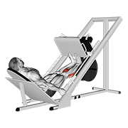 Sled calf press on leg press animation