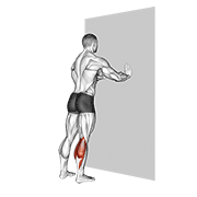 Standing calves animation