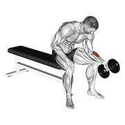 Dumbbell one arm seated neutral wrist curl animation