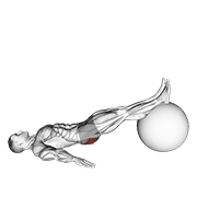 Exercise ball one legged diagonal kick hamstring curl animation
