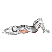 Pelvic tilt into bridge animation