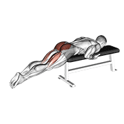 Reverse hyper on flat bench animation