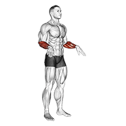 Wrist circles animation