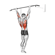 Wide grip pull-up animation