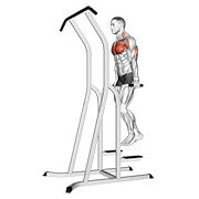 Chest dip (on dip-pull-up cage) animation