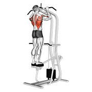 Assisted standing pull-up animation