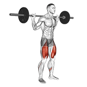 Barbell low bar squat animation