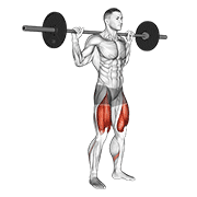 Barbell high bar squat animation