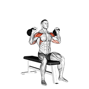 Kettlebell seated two arm military press animation