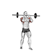 Barbell standing close grip military press animation