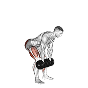 Dumbbell romanian deadlift animation