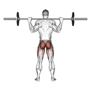 Barbell full squat (back pov) animation