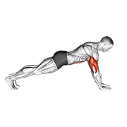 Push-up on lower arms animation