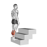Standing calf raise (on a staircase) animation
