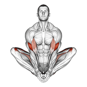 Butterfly yoga pose animation