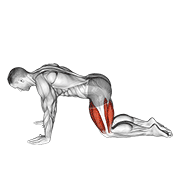 All fours squad stretch animation