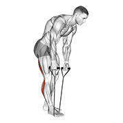 Standing hamstring and calf stretch with strap animation
