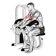 Lever hammer grip preacher curl animation