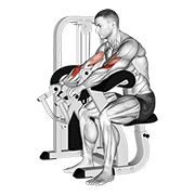 Lever reverse grip preacher curl animation