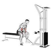 Cable concentration curl animation