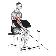 Cable one arm preacher curl animation