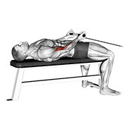 Cable lying bicep curl animation