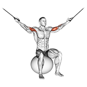 Cable overhead curl on exercise ball animation