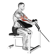 Cable rope hammer preacher curl animation