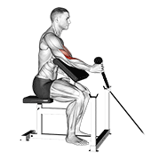 Cable rope one arm hammer preacher curl animation