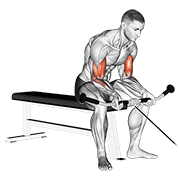 Cable seated curl animation