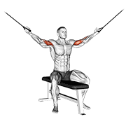 Cable seated overhead curl animation