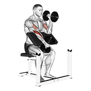 Dumbbell alternate hammer preacher curl animation