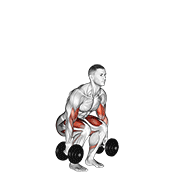 Dumbbell biceps curl squat animation