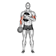 Dumbbell cross body hammer curl v. 2 animation
