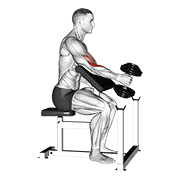 Dumbbell one arm hammer preacher curl animation