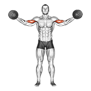 Dumbbell high curl animation