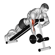 Dumbbell one arm prone curl animation