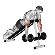 Dumbbell prone incline hammer curl animation