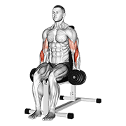 Dumbbell seated hammer curl animation