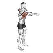 Push and pull bodyweight animation