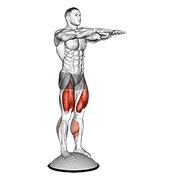 Squat on bosu ball animation