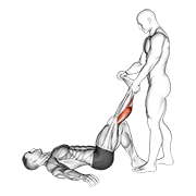 Assisted lying calves stretch animation