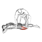 Assisted prone lying quads stretch animation