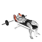 Barbell lying back of the head tricep extension animation