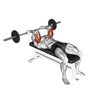 Barbell reverse grip skullcrusher animation