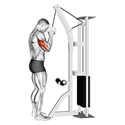 Cable one arm tricep pushdown animation