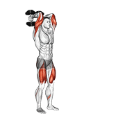 Dumbbell forward lunge triceps extension animation